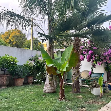 Bed & Breakfast Relaxation Nimes